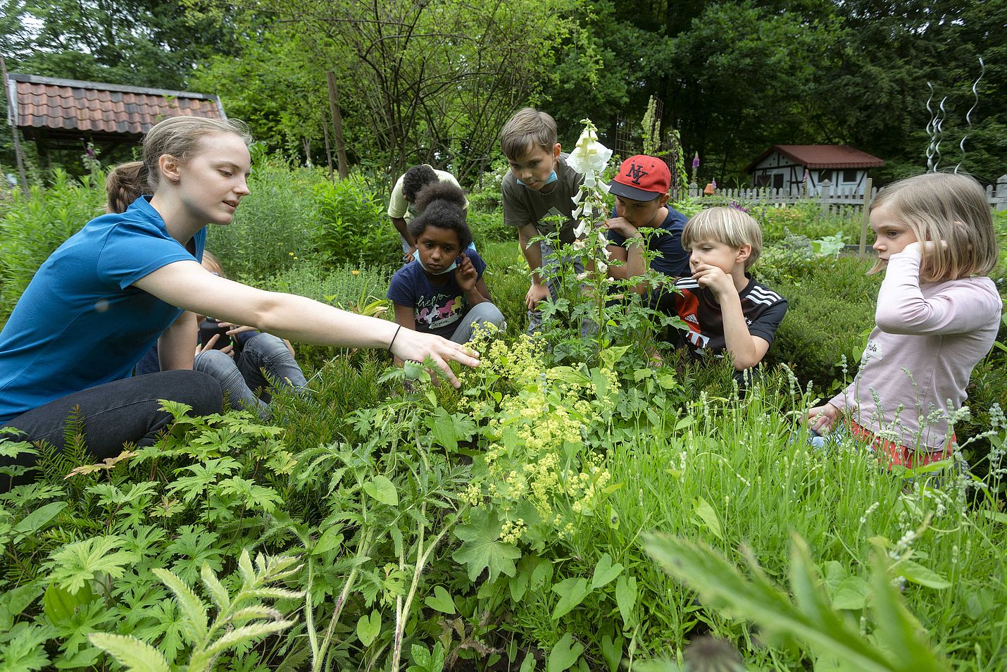 Natur und Tiere kennenlernen und erforschen