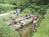 Aktivität für weiterführende Schulklassen – Entdeckung des Lebensraums Wasser im Wildpark