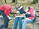 Schülerinnen und Schüler entdecken den Lebensraum Wald im Wildpark Niedersachsen